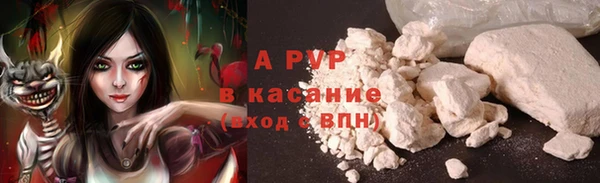 ГАЛЛЮЦИНОГЕННЫЕ ГРИБЫ Абаза