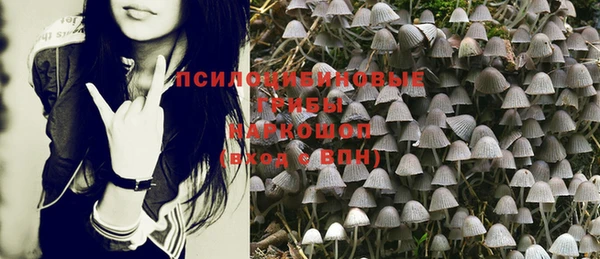 дурь Абдулино