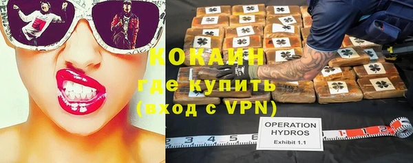 ГАЛЛЮЦИНОГЕННЫЕ ГРИБЫ Абаза